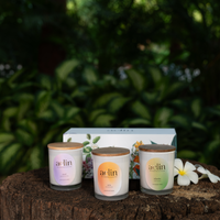 Signature Scented Candles | Set of 3