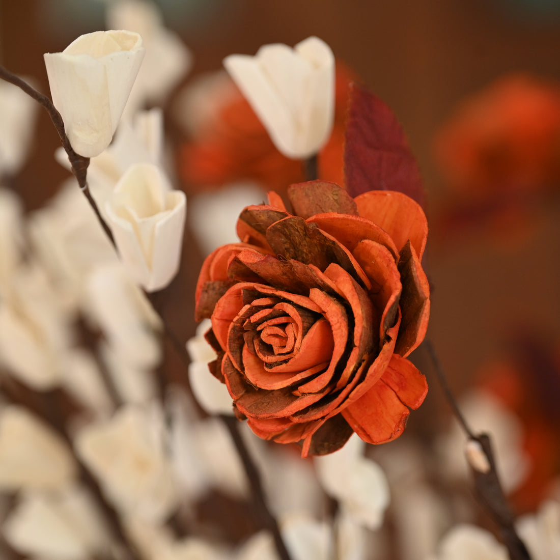 Shola Flowers | Roses